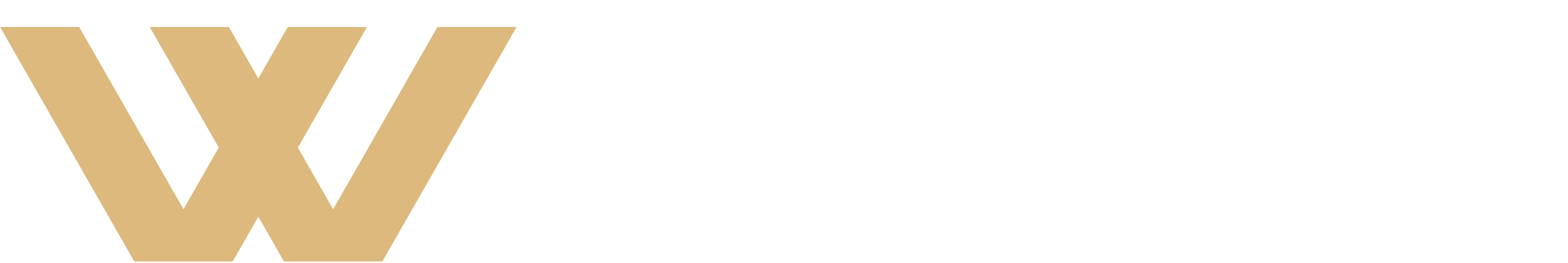 The W Group Financial